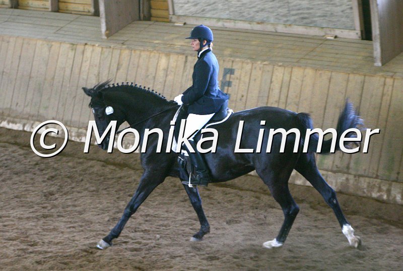 006M4276_Dressur E.JPG